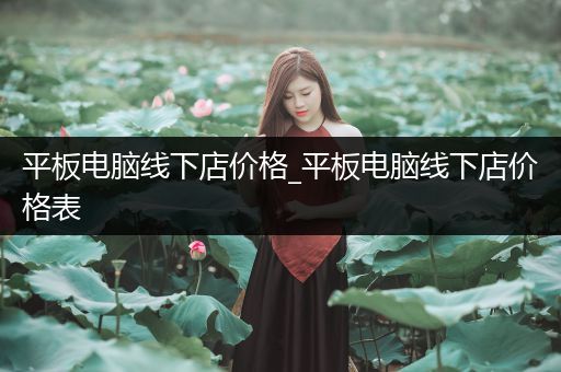 平板电脑线下店价格_平板电脑线下店价格表