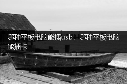 哪种平板电脑能插usb，哪种平板电脑能插卡