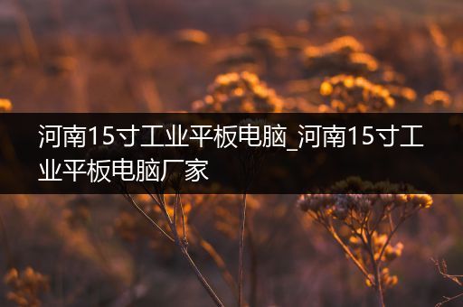 河南15寸工业平板电脑_河南15寸工业平板电脑厂家