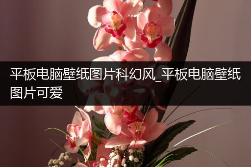 平板电脑壁纸图片科幻风_平板电脑壁纸图片可爱