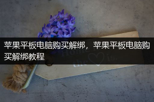 苹果平板电脑购买解绑，苹果平板电脑购买解绑教程