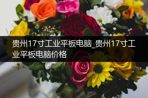 贵州17寸工业平板电脑_贵州17寸工业平板电脑价格