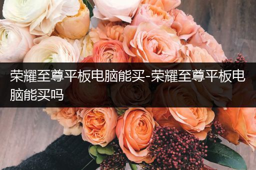 荣耀至尊平板电脑能买-荣耀至尊平板电脑能买吗
