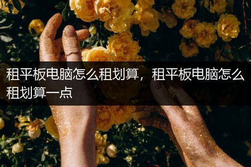 租平板电脑怎么租划算，租平板电脑怎么租划算一点