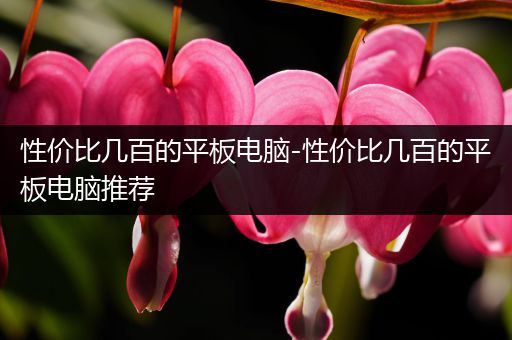 性价比几百的平板电脑-性价比几百的平板电脑推荐