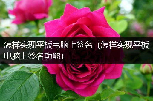 怎样实现平板电脑上签名（怎样实现平板电脑上签名功能）