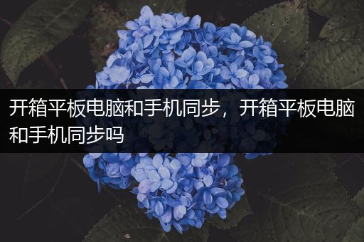 开箱平板电脑和手机同步，开箱平板电脑和手机同步吗