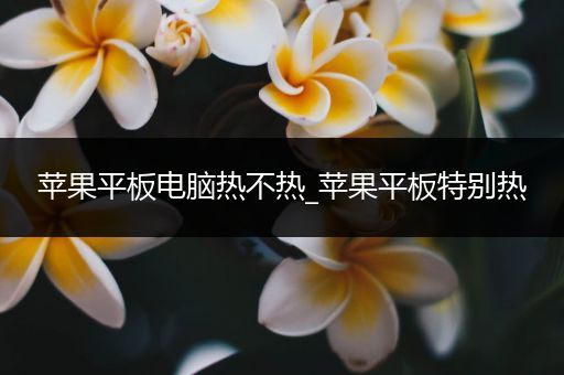 苹果平板电脑热不热_苹果平板特别热