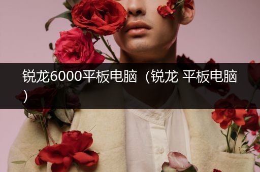 锐龙6000平板电脑（锐龙 平板电脑）