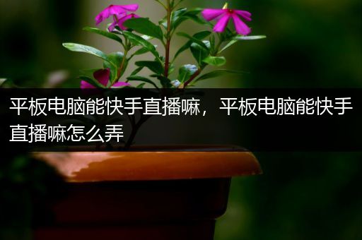 平板电脑能快手直播嘛，平板电脑能快手直播嘛怎么弄