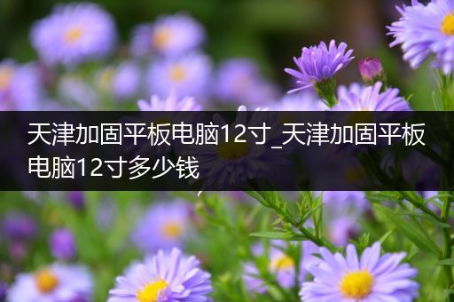 天津加固平板电脑12寸_天津加固平板电脑12寸多少钱