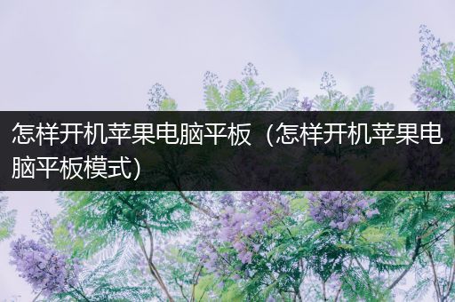 怎样开机苹果电脑平板（怎样开机苹果电脑平板模式）