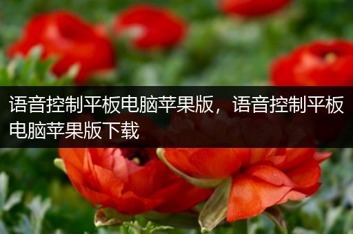 语音控制平板电脑苹果版，语音控制平板电脑苹果版下载