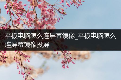 平板电脑怎么连屏幕镜像_平板电脑怎么连屏幕镜像投屏