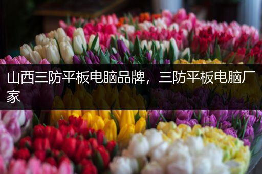 山西三防平板电脑品牌，三防平板电脑厂家