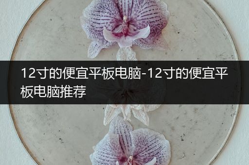 12寸的便宜平板电脑-12寸的便宜平板电脑推荐