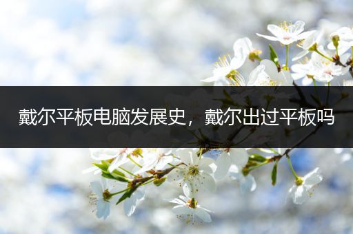 戴尔平板电脑发展史，戴尔出过平板吗