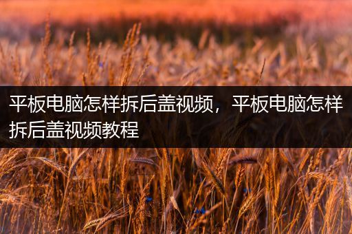 平板电脑怎样拆后盖视频，平板电脑怎样拆后盖视频教程