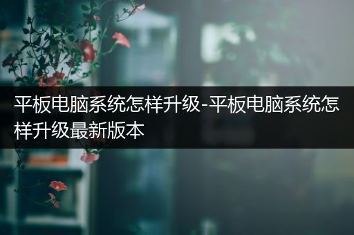 平板电脑系统怎样升级-平板电脑系统怎样升级最新版本