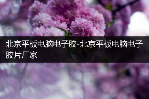 北京平板电脑电子胶-北京平板电脑电子胶片厂家