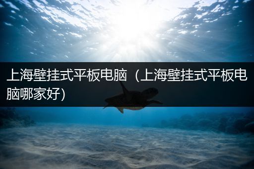 上海壁挂式平板电脑（上海壁挂式平板电脑哪家好）