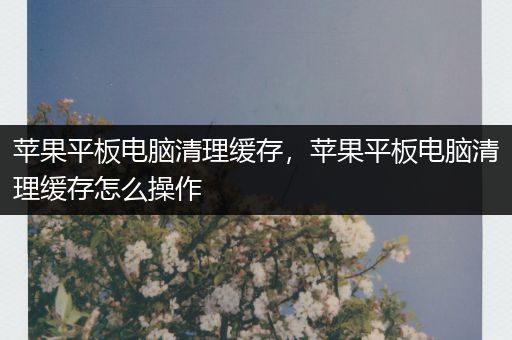 苹果平板电脑清理缓存，苹果平板电脑清理缓存怎么操作