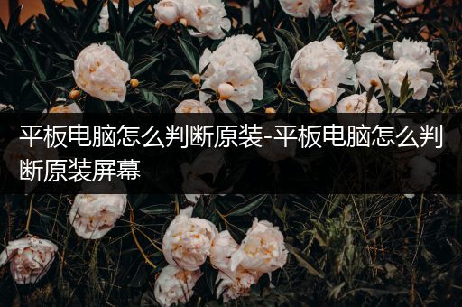 平板电脑怎么判断原装-平板电脑怎么判断原装屏幕