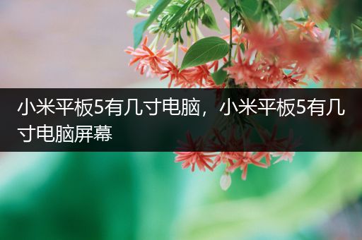 小米平板5有几寸电脑，小米平板5有几寸电脑屏幕