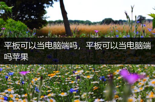 平板可以当电脑端吗，平板可以当电脑端吗苹果