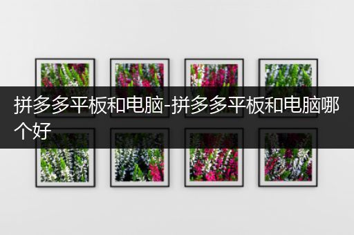拼多多平板和电脑-拼多多平板和电脑哪个好