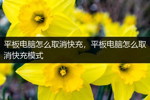 平板电脑怎么取消快充，平板电脑怎么取消快充模式