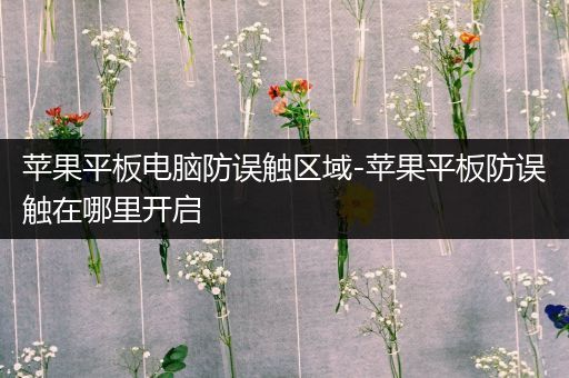 苹果平板电脑防误触区域-苹果平板防误触在哪里开启