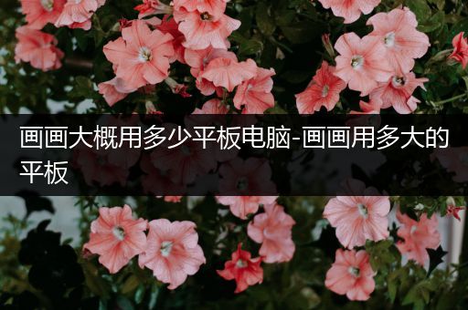 画画大概用多少平板电脑-画画用多大的平板