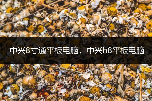 中兴8寸通平板电脑，中兴h8平板电脑