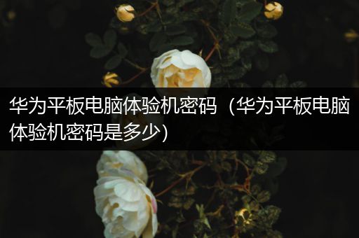 华为平板电脑体验机密码（华为平板电脑体验机密码是多少）