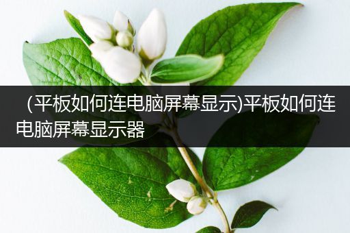 （平板如何连电脑屏幕显示)平板如何连电脑屏幕显示器