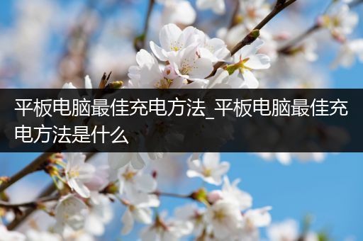 平板电脑最佳充电方法_平板电脑最佳充电方法是什么