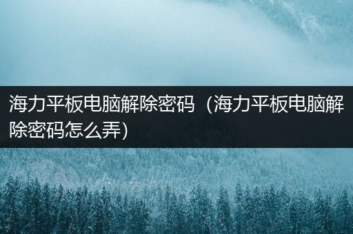 海力平板电脑解除密码（海力平板电脑解除密码怎么弄）