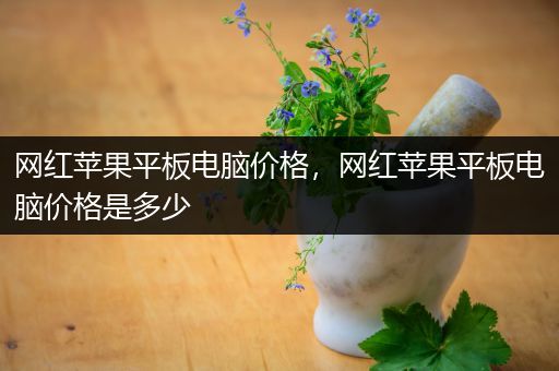 网红苹果平板电脑价格，网红苹果平板电脑价格是多少