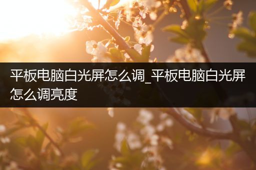 平板电脑白光屏怎么调_平板电脑白光屏怎么调亮度