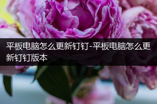 平板电脑怎么更新钉钉-平板电脑怎么更新钉钉版本