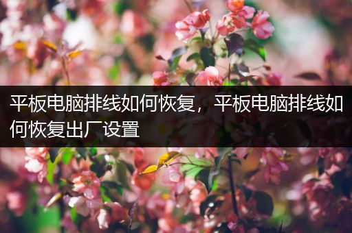 平板电脑排线如何恢复，平板电脑排线如何恢复出厂设置