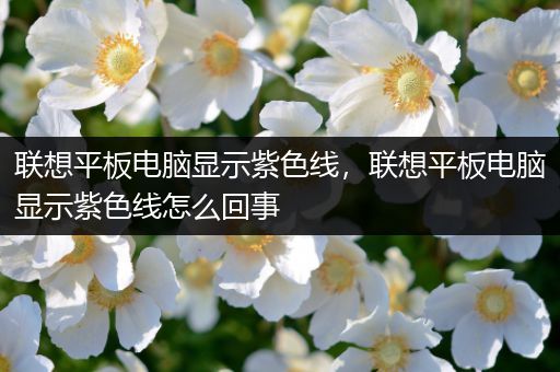 联想平板电脑显示紫色线，联想平板电脑显示紫色线怎么回事