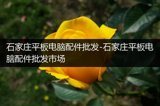 石家庄平板电脑配件批发-石家庄平板电脑配件批发市场