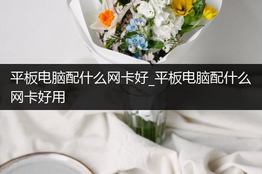 平板电脑配什么网卡好_平板电脑配什么网卡好用
