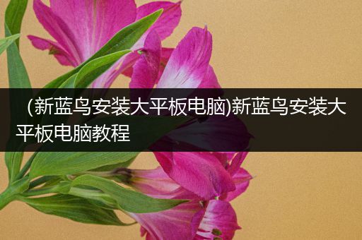 （新蓝鸟安装大平板电脑)新蓝鸟安装大平板电脑教程