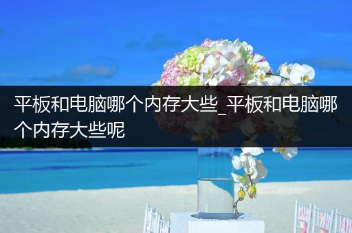 平板和电脑哪个内存大些_平板和电脑哪个内存大些呢