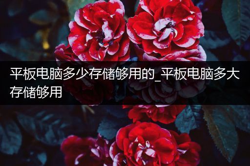 平板电脑多少存储够用的_平板电脑多大存储够用