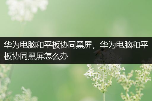 华为电脑和平板协同黑屏，华为电脑和平板协同黑屏怎么办