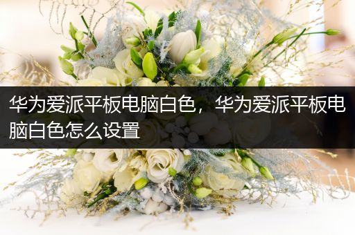 华为爱派平板电脑白色，华为爱派平板电脑白色怎么设置